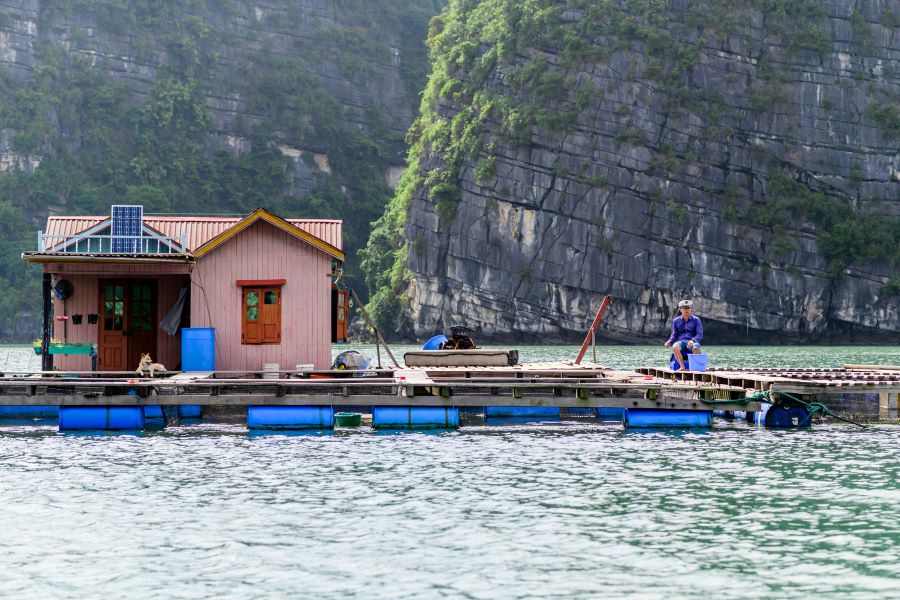 vung vieng fishing village in halong bay