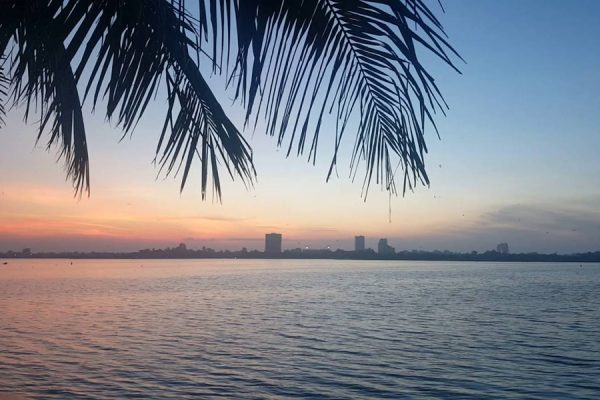 West Lake In The Morning