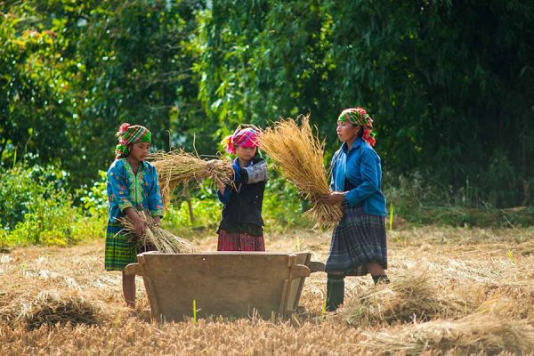 Vietnam Laos Tours