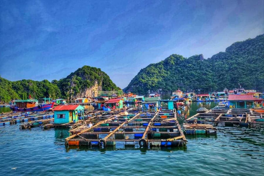 floating villages in halong bay tours