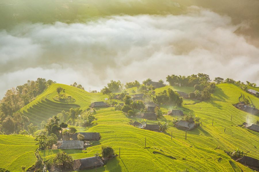 ha giang trekking in ripen rice season