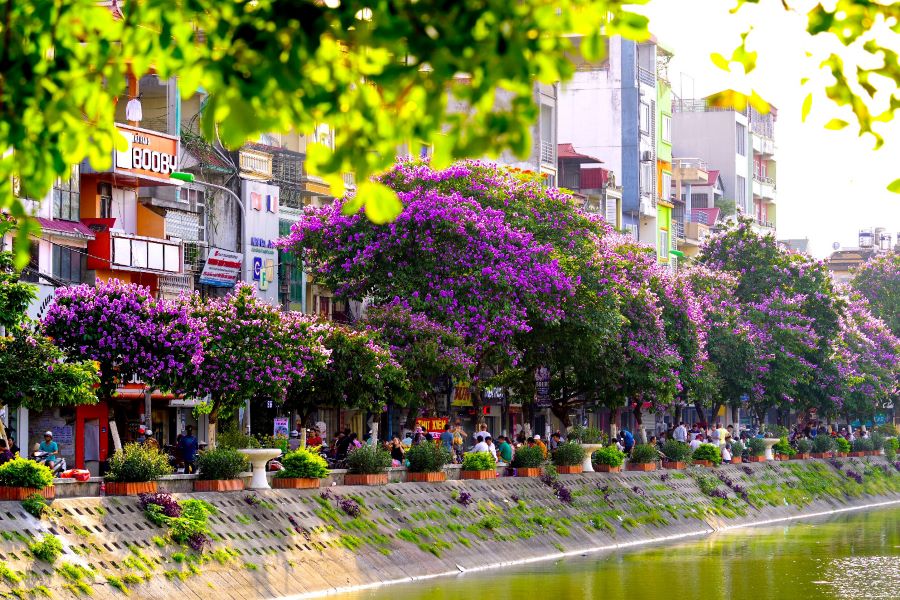 hanoi day tours in summer