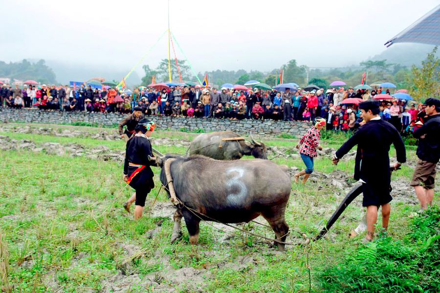 long tong festival in sapa tour