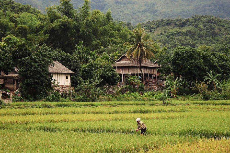 mai chau day trips to thai exhibition house