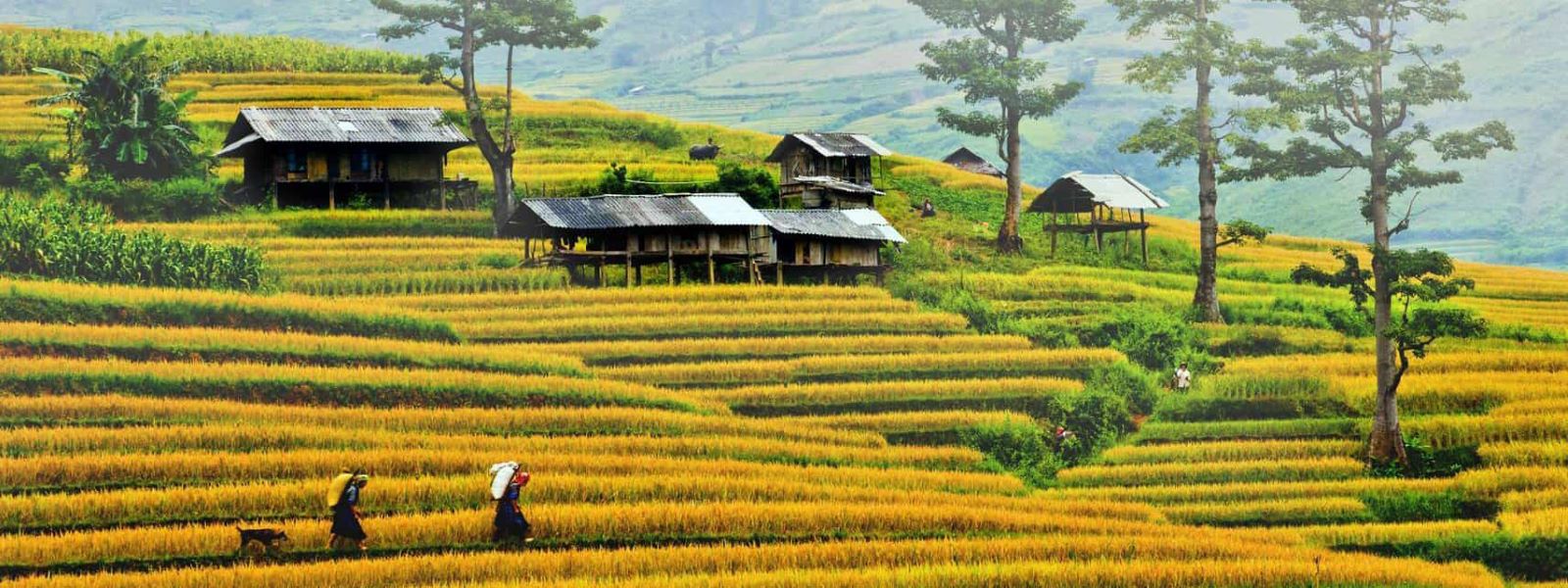 sapa tours bg
