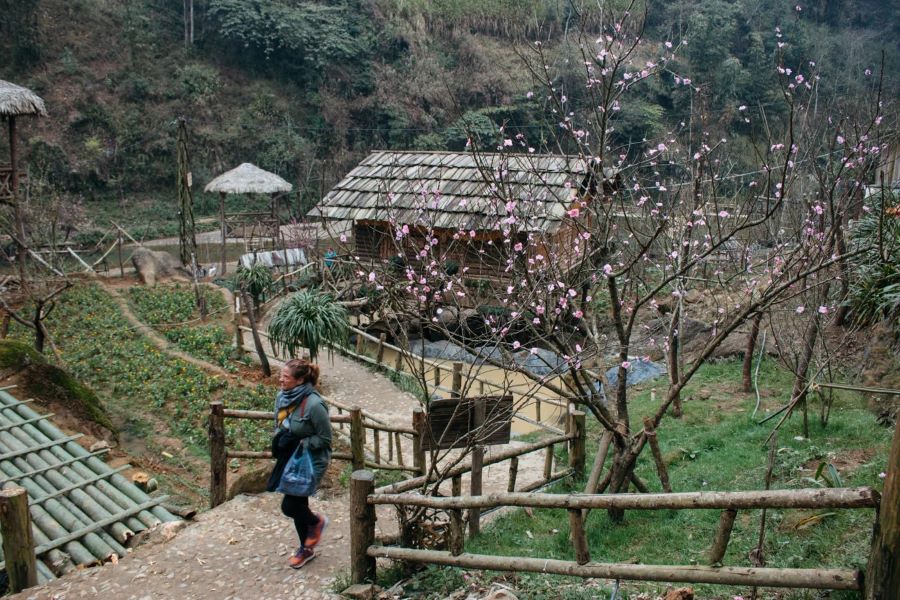 visit local village in sapa tour packages