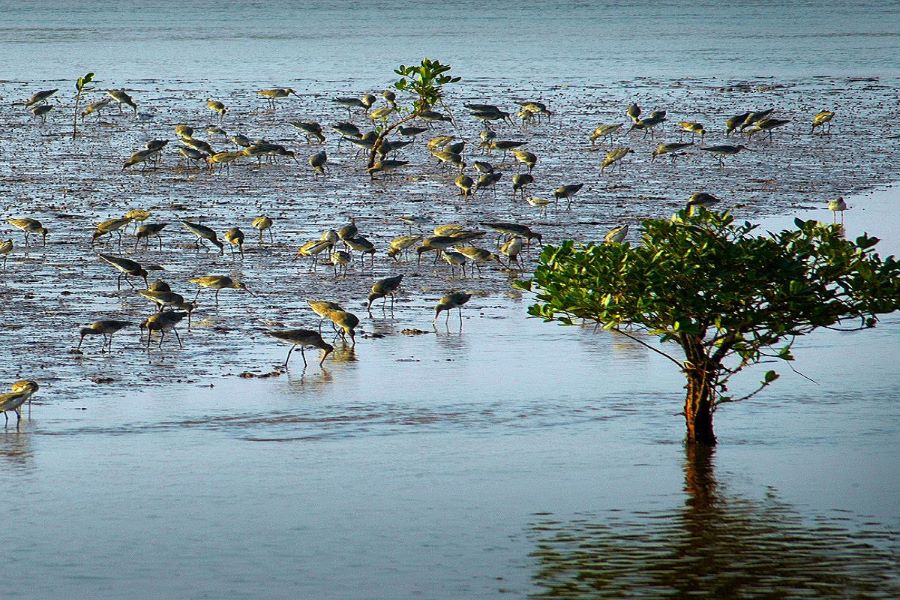 nam dinh trips to xuan thuy national park