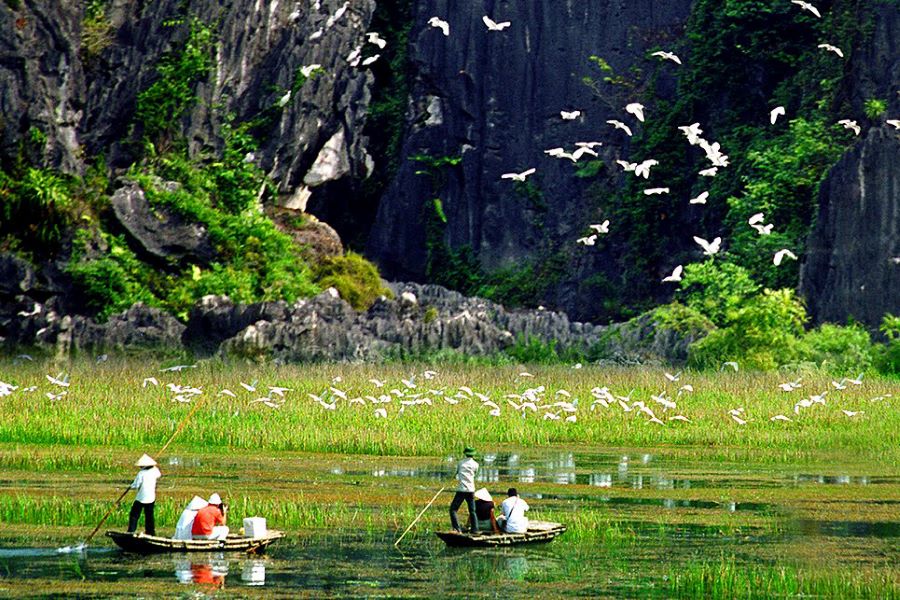 ninh binh tours from hanoi to van long nature reserve