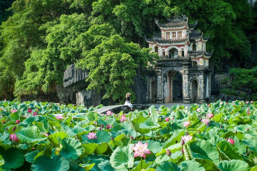 ninh binh trips to tam coc