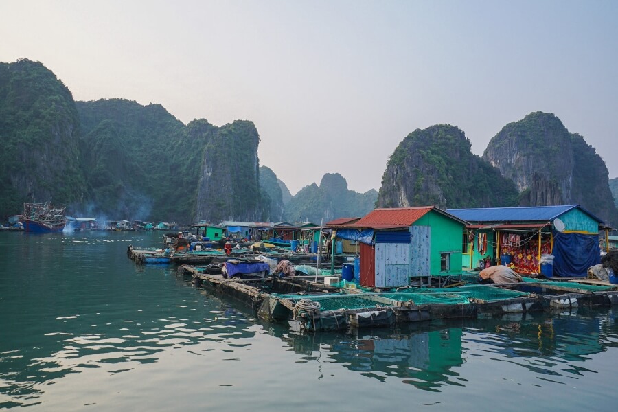 Cai Beo Floating Village - Halong Bay Tours