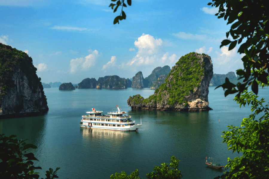 Swan Cruise Halong Bay Tours