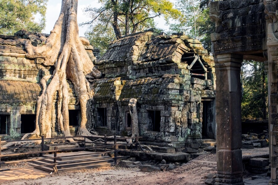 Ta Prohm Temple Cambodia