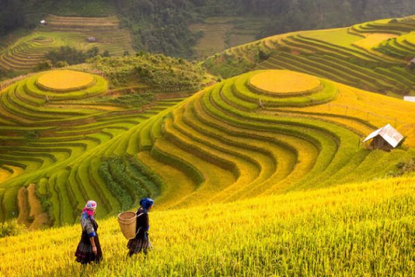 Local Ethnic People in Northwest Vietnam