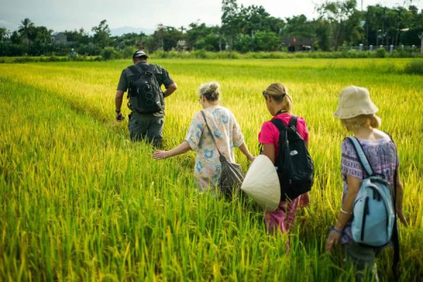 Experience the Real Vietnam Wet Rice - Hoi An & Da Nang Shore Excursions