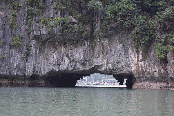Luon Cave, Halong Bay Cruise Tours