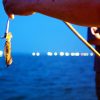 Night Squid Fishing - Phu Quoc shore excursions