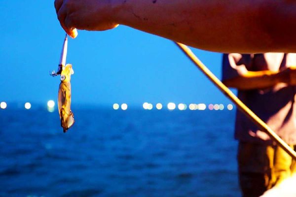 Night Squid Fishing - Phu Quoc shore excursions