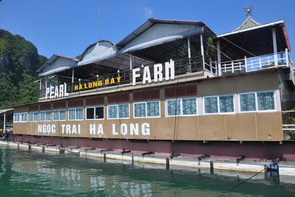 Tung Sau Pearl Farm - Halong Bay Tours