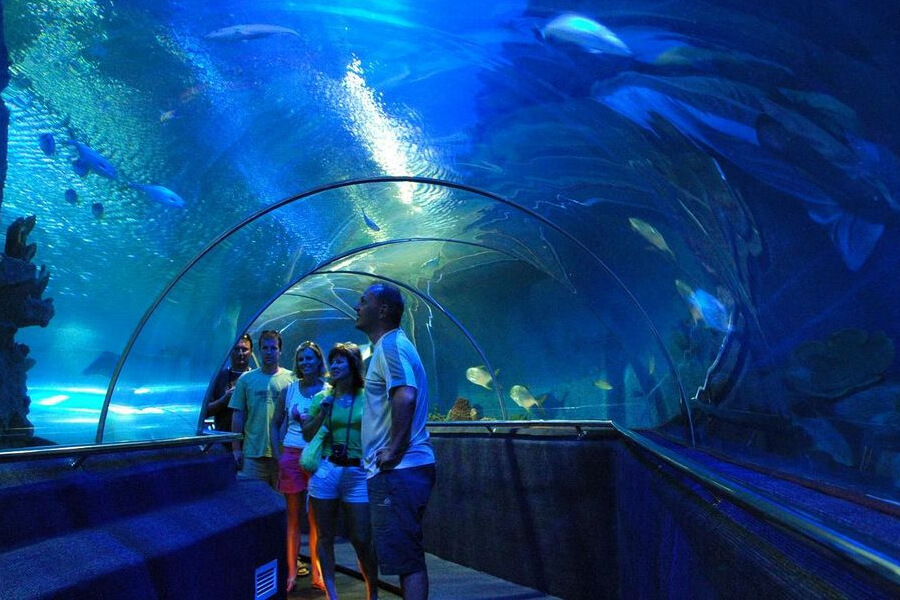 Vietnam Oceanographic Institute - Nha Trang Shore Excursions