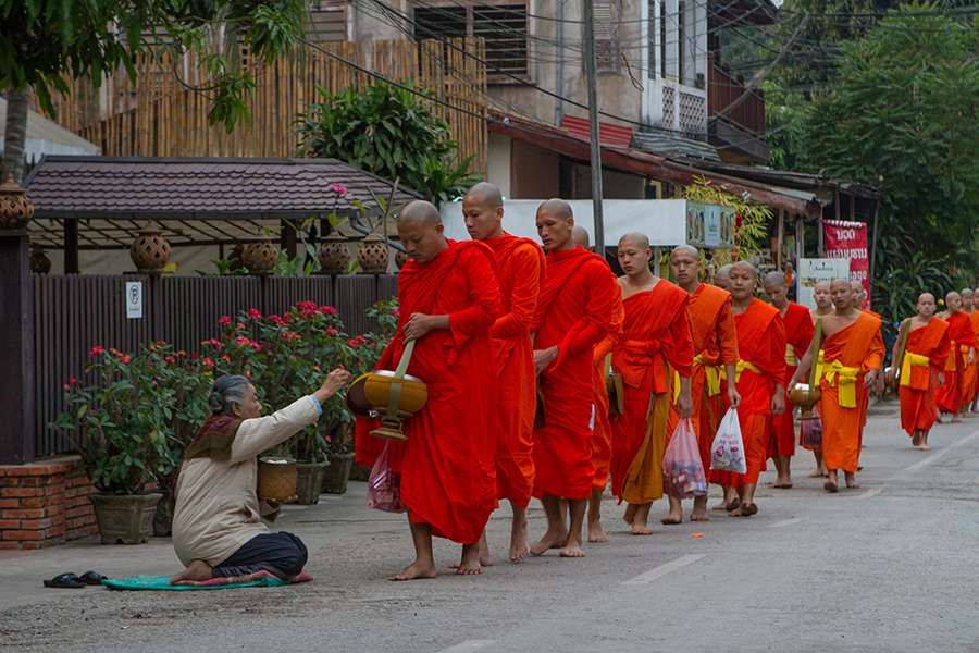 Alms Giving Ceremony in Laos - Indochina tour