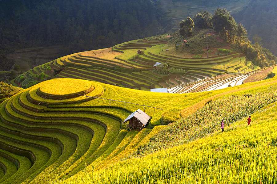 vision travel ha giang