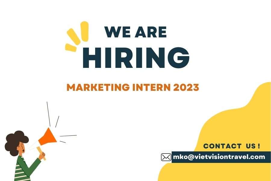 Marketing Intern Part-time 2023 - Viet Vision Travel