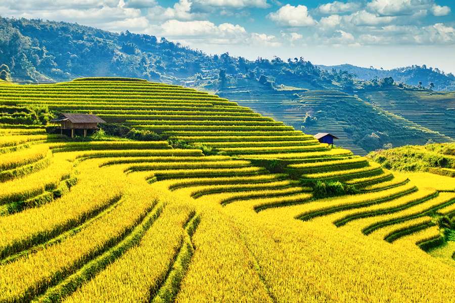 Northern Vietnam - Vietnam tour package