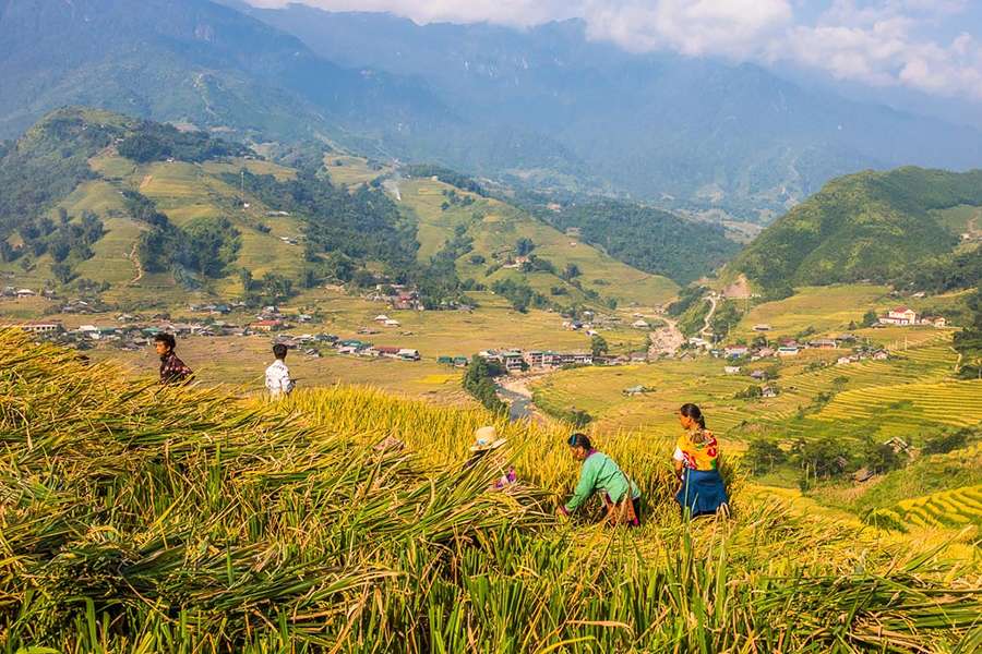 Sapa trekking tour - Vietnam day trip