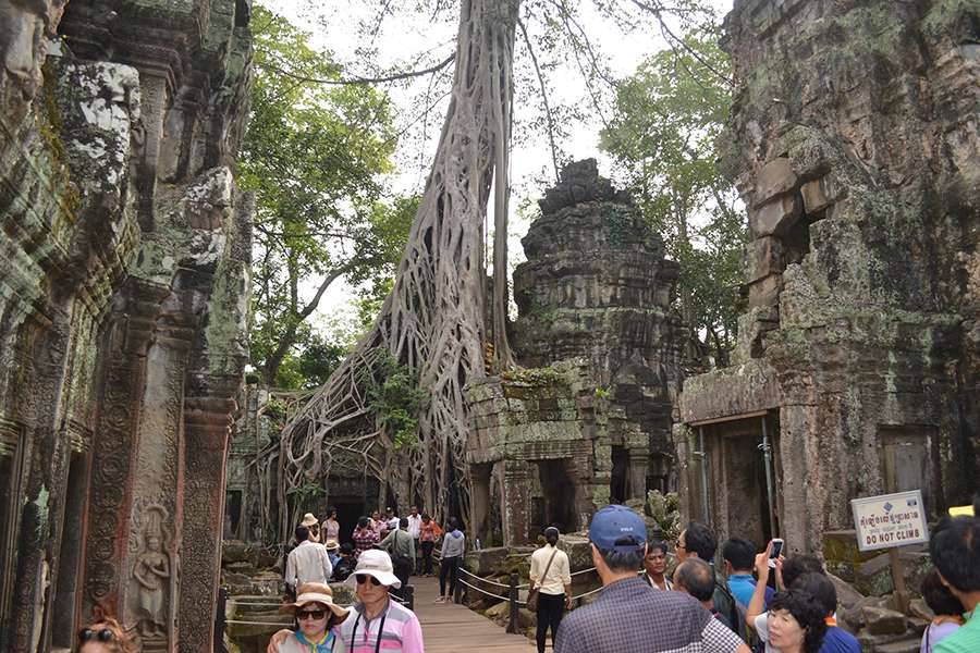 Ta Prohm, Cambodia - Indochina tour