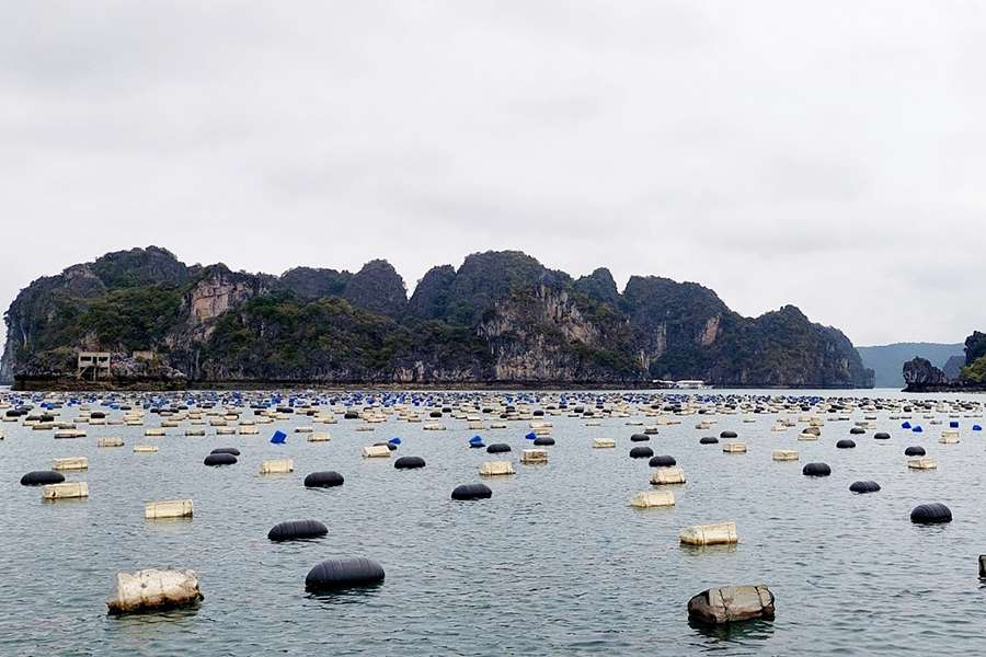 Tung Sau Pearl farm, Halong Bay - Indochina tour