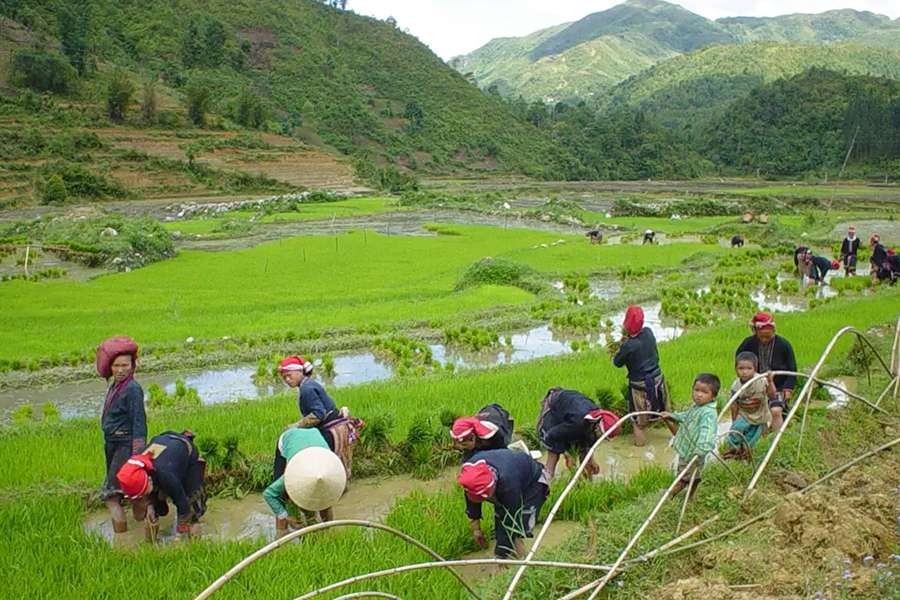 Ethnic minority in Ha Giang tours