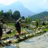 Hoang Su Phi trekking adventure - Ha Giang tours