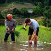 Local experience in Ha Giang tours