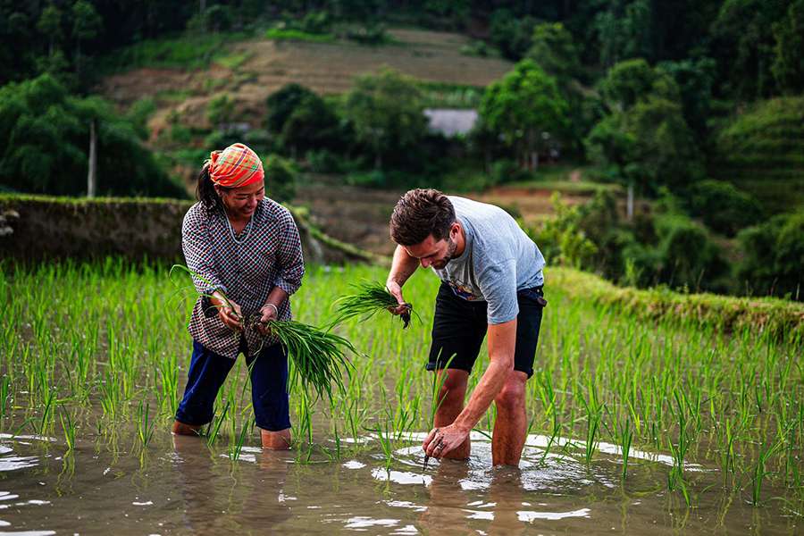 Local experience in Ha Giang tours