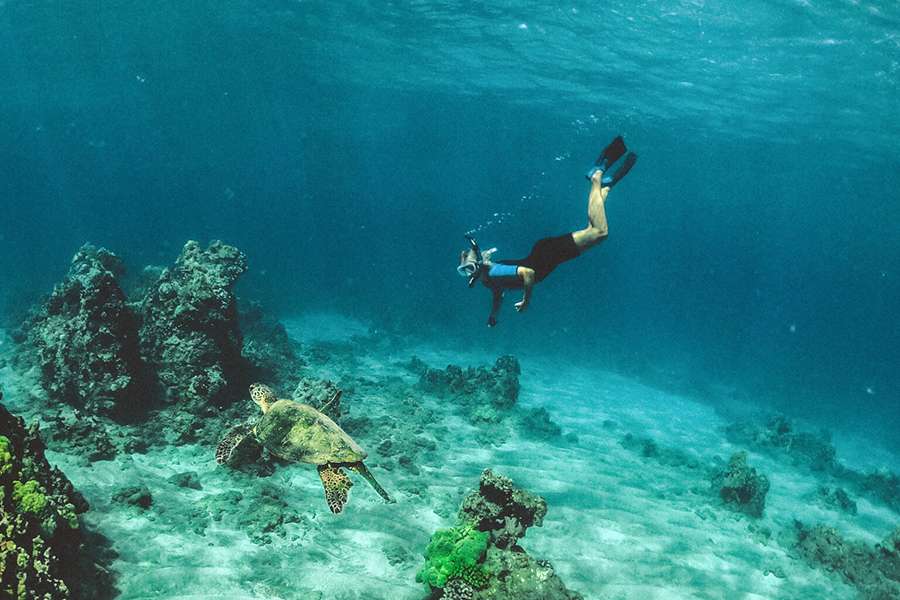 Diving and snorkeling -Nha Trang shore excursions