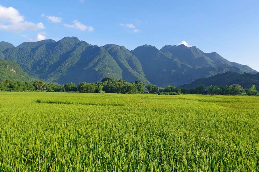 Mai Chau Valley -Vietnam day trips