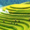 Northern Highlands - Vietnam tour packages