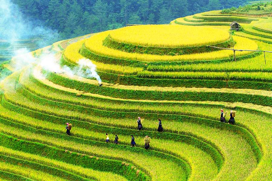 Northern Highlands - Vietnam tour packages