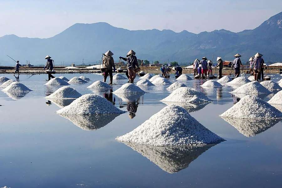 Salt Fields - Nha Trang shore excursions