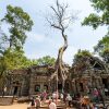 Cambodia, Indochina - Indochina tours