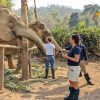 MandaLao Elephant Camp - Laos tour
