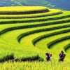 Sapa Vietnam - Vietnam tour packages