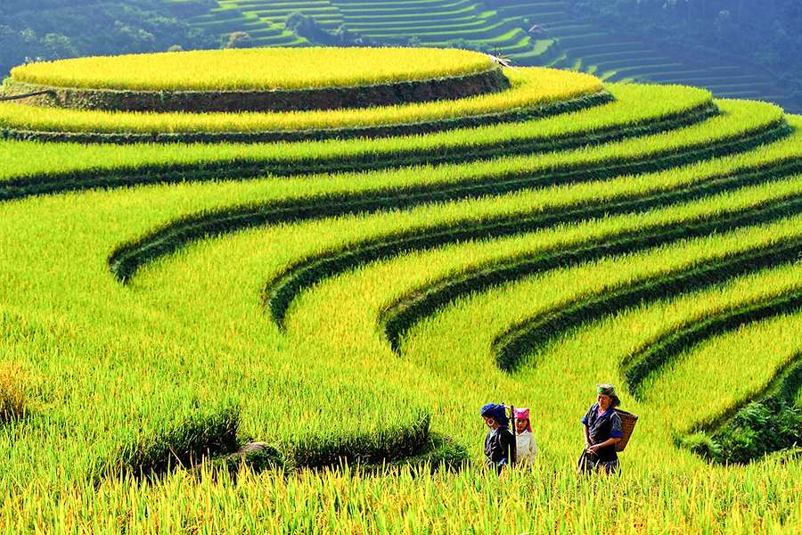 Sapa Vietnam - Vietnam tour packages