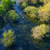 Hue tours - Ru Cha Mangrove Forest