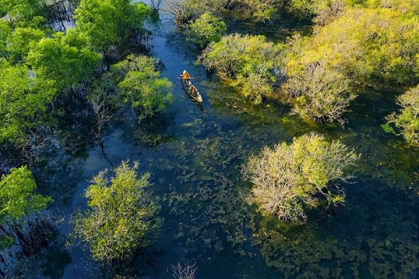 Hue tours - Ru Cha Mangrove Forest