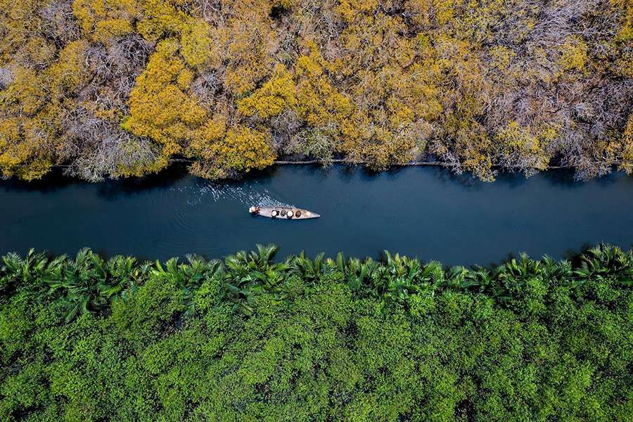 Ru Cha Mangrove Forest- Hue tours