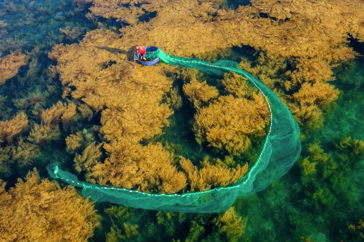 Tam Giang Lagoon in Hue tours