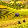 Mountain Trail Tour in Northern Vietnam – 12 Days