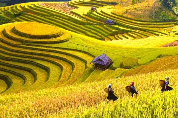 Mountain Trail Tour in Northern Vietnam – 12 Days