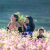 Vietnam Northern Treasures Exploration - 10 Days
